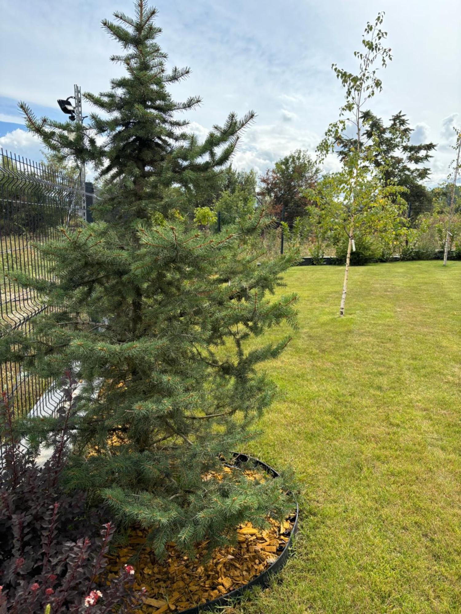 Black Diamond Business Park Free Parking * Sofya